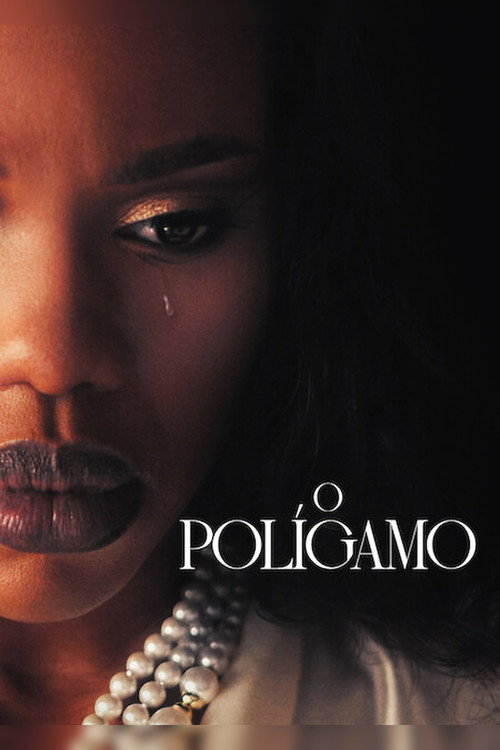 The Polygamist - Saison 1